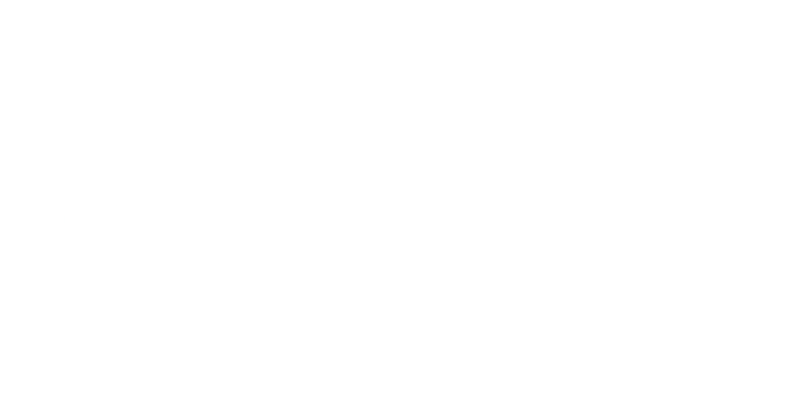 HDF Motorsport Logo